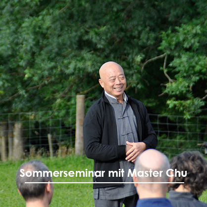 Sommerseminar mit Grossmeister Chu King Hung, Foto Christine Rühmer