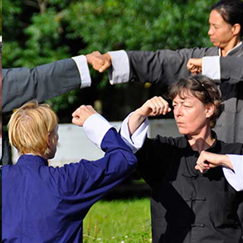 Die Tai Chi handfighting-Form - Foto: Christine Rühmer