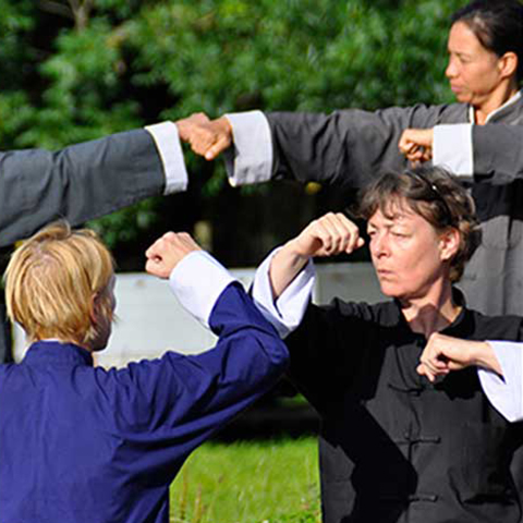 Tai Chi Schüler bei Handfighting Form - Foto: Christine Rühmer